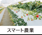 スマート農業